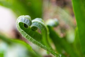 La puissance de l’amour, véritable science du coeur